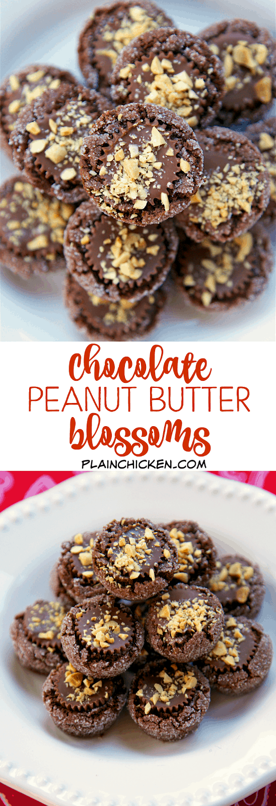 Chocolate Peanut Butter Blossoms - peanut butter chocolate cookies topped with a Reese's cup and chopped peanuts. OMG! Heaven! I have zero self-control around these cookies! Makes 5 dozen - great for sharing.