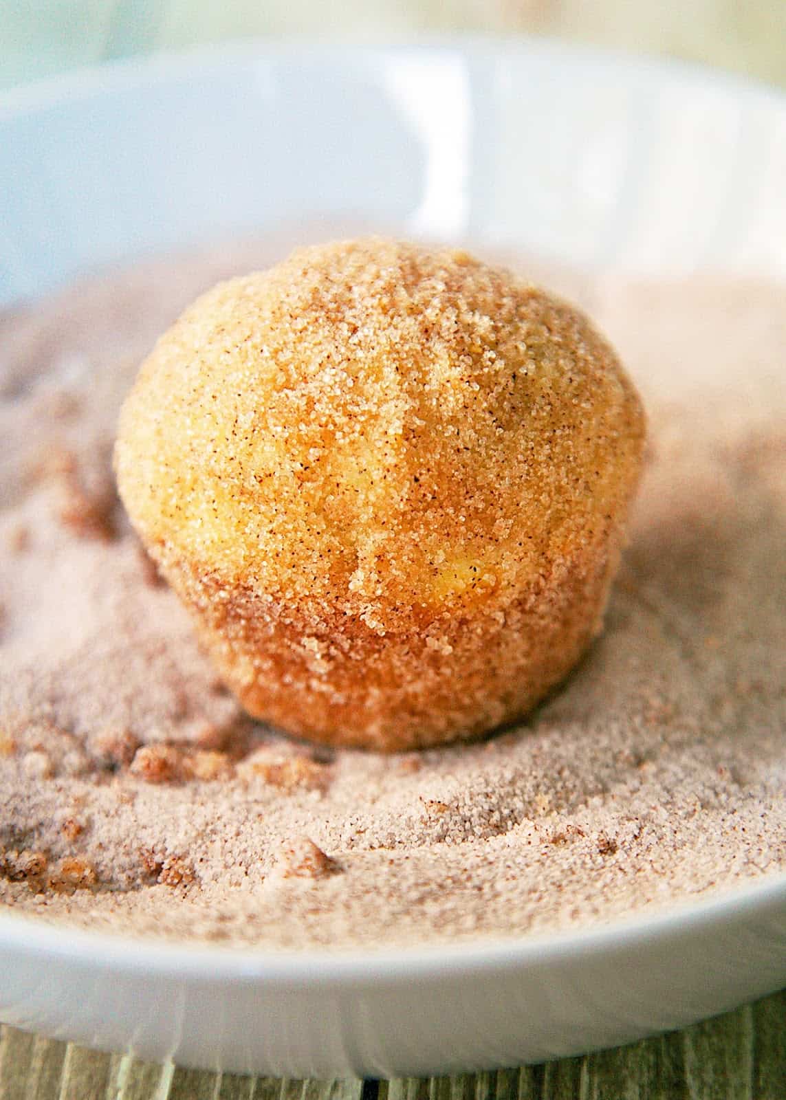 Cinnamon-Sugar Doughnut Muffins Recipe - baked doughnut muffins coated in cinnamon and sugar - tastes just like an old-fashioned doughnut! Great for Mother's Day breakfast!