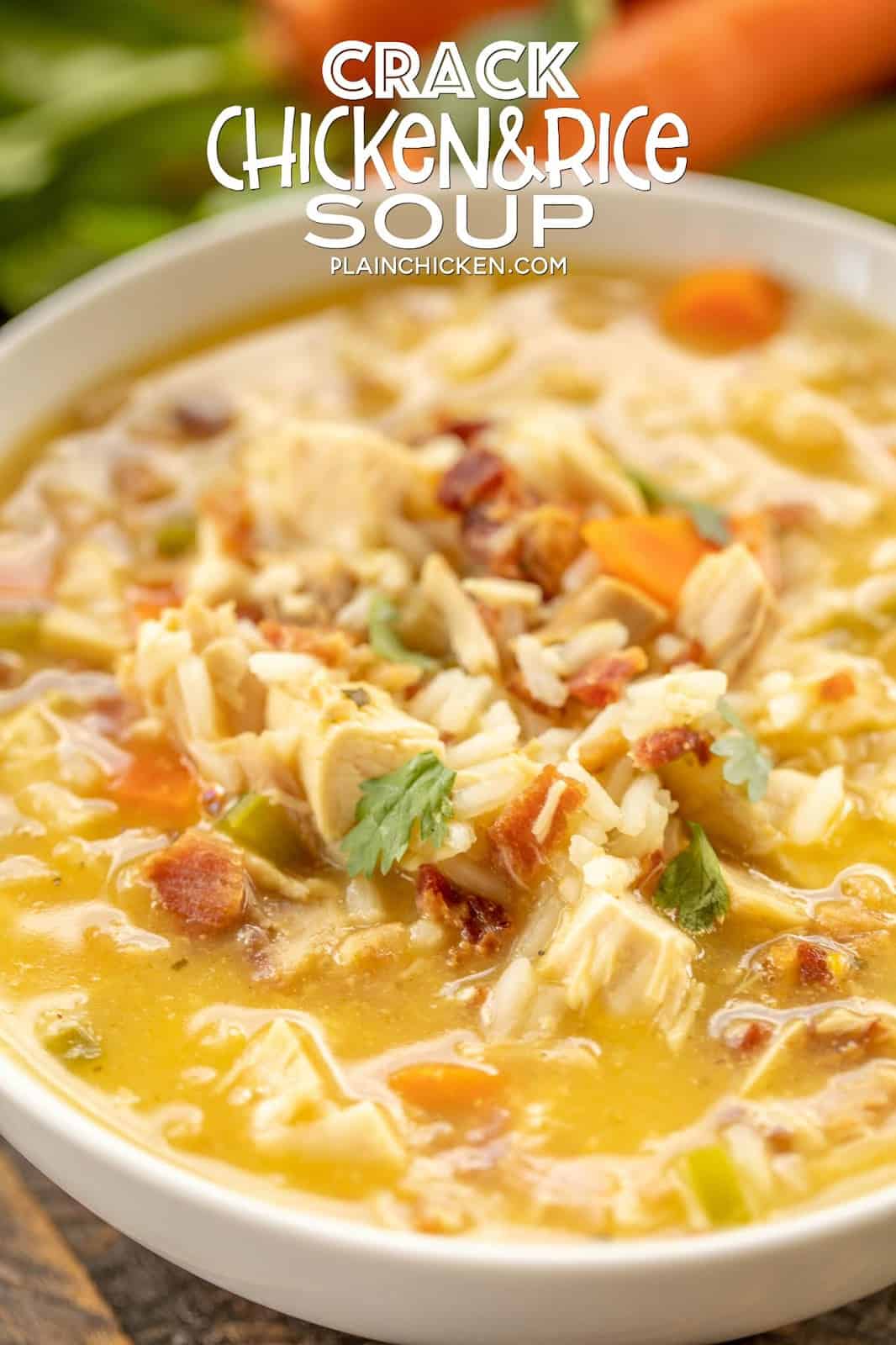 Crack Chicken and Rice Soup - this soup should come with a warning label! SO GOOD!!! Ready in 30 minutes! Chicken, cheese soup, chicken broth, celery, carrots, ranch mix, bacon, and rice. Everyone went back for seconds - even our super picky eaters! A great kid-friendly dinner!! We love this soup! #soup #bacon #chickenandricesoup #crackchicken