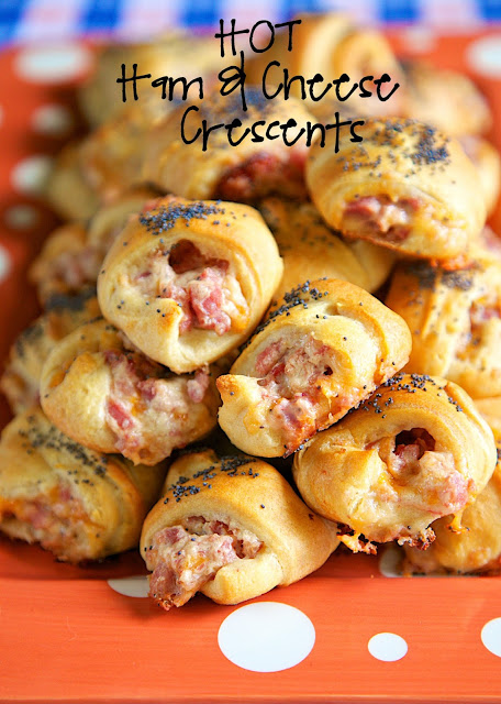 Hot Ham and Cheese Crescents recipe - ham, cheddar, swiss, cream cheese, dijon mustard, Worcestershire, brown sugar mixed together and baked in crescent rolls and topped with poppy seeds. I am totally addicted to these! I could not stop eating them! I am already planning on making them again this week!