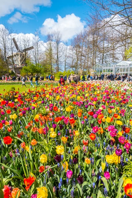 Keukenhof Gardens - Tulip Heaven in the Netherlands - a MUST if you are in Europe in the spring. The most amazing garden EVER!