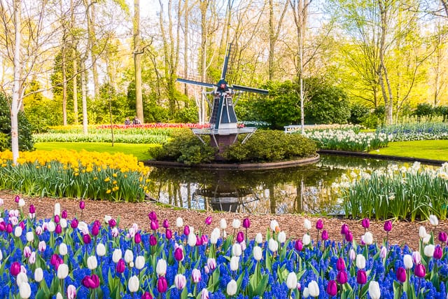 Keukenhof Gardens - Tulip Heaven in the Netherlands - a MUST if you are in Europe in the spring. The most amazing garden EVER!