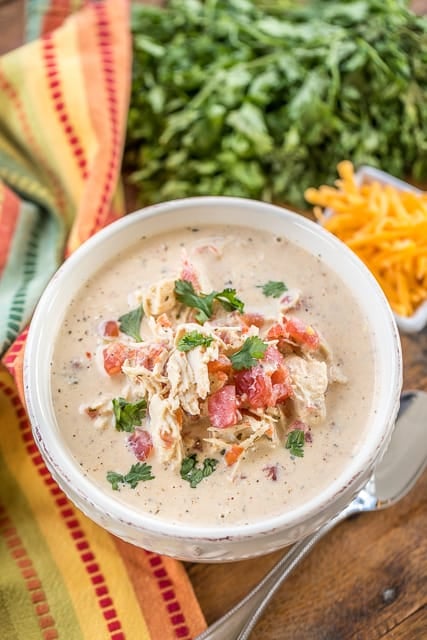Slow Cooker LOW CARB Chicken Taco Soup - you'll never miss the carbs! This soup is GREAT!!! Chicken, diced tomatoes and green chiles, cream cheese, southwestern seasoning, ranch seasoning and chicken broth. SO easy and tastes AMAZING!!! Can add beans if you aren't watching your carbs. We love to freeze leftovers for a quick meal later. YUM! #slowcooker #chickensoup #lowcarb #tacosoup