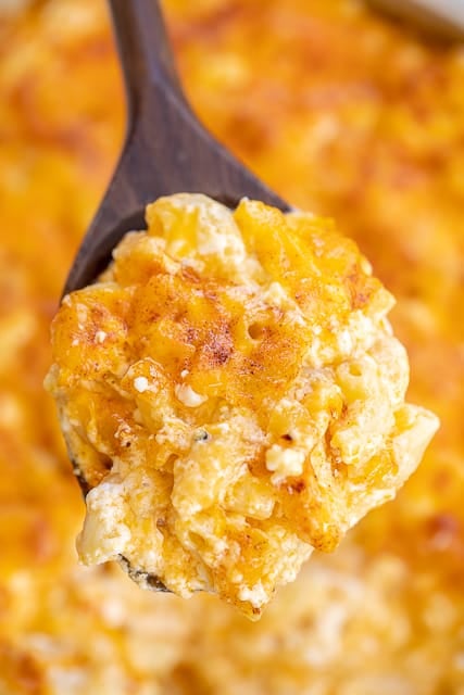 Mack & Jeezy - seriously delicious mac and cheese recipe!! No sauces to make. Just boil the pasta, stir in the cheese and bake. Elbow macaroni, cottage cheese, egg, sharp cheddar cheese, salt and paprika. Served this at a dinner party and it was the first thing to go! SO good!!! #macandchese #pasta #sidedish #casserole