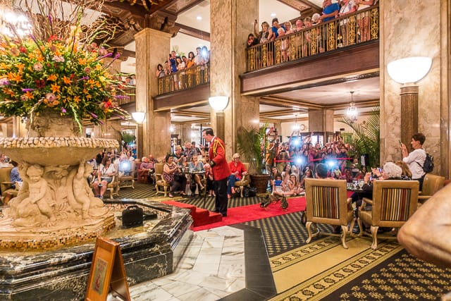 The Duck March at The Peabody Hotel - Memphis, TN
