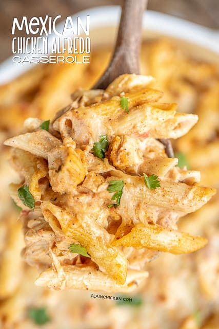 spoonful of chicken pasta