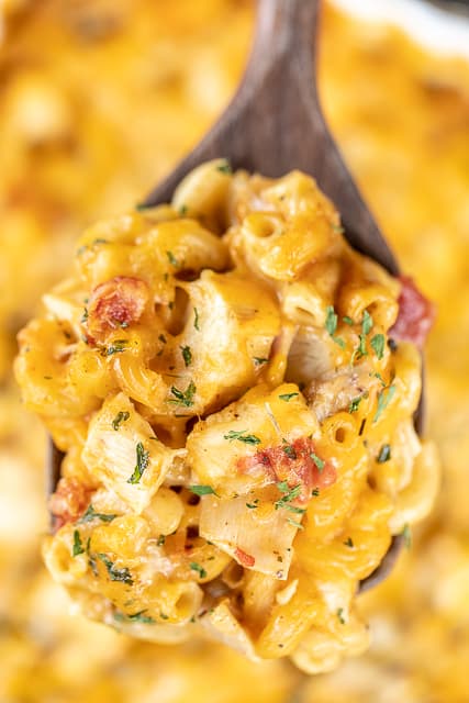 a spoonful of cheesy chicken pasta