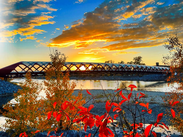 Prince's Island Park - best place for sunsets in Calgary! The Peace Bridge with the city in the background.