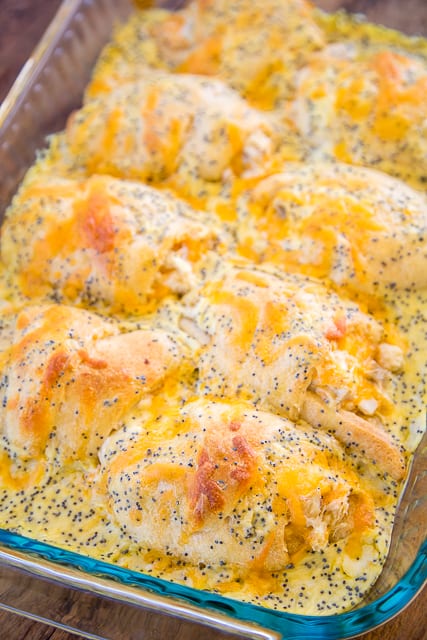 Poppy Seed Chicken Roll Ups - heaven in a pan!! Chicken and cream cheese wrapped in crescent rolls and topped cream of chicken soup, milk, cheese and poppy seeds. These are on the menu at least once a month! Everyone gobbles these up - we never have any leftovers. Our family's favorite chicken casserole!!