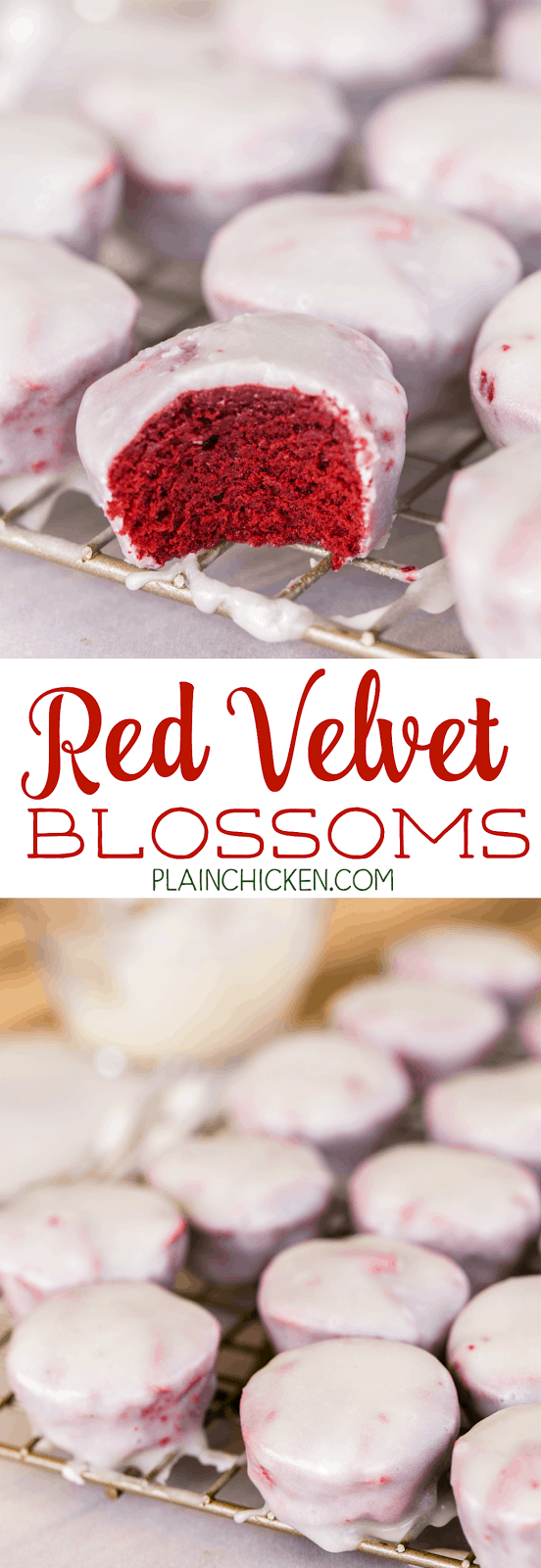 Red Velvet Blossoms - mini red velvet cakes dunked in a homemade cream cheese glaze. These things are CRAZY good! I ate WAY too many of these cakes. Red Velvet cake mix, chocolate pudding, oil, eggs, cream cheese, milk, powdered sugar. Make 5 dozen - great for holiday parties!