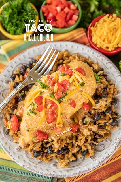 Slow Cooker Taco Chicken Chicken - a weeknight family favorite!! Only 6 ingredients! Chicken, cream cheese, cream of chicken soup, chicken broth, taco seasoning and Rotel diced tomatoes and green chiles. Serve over Mexican rice and black beans, pasta, grits, rice or potatoes. Everyone cleaned their plate and asked for seconds! That never happens!!! This recipe is a keeper! #slowcooker #chicken #weeknightdinner #mexican #mexicanchicken #crockpot