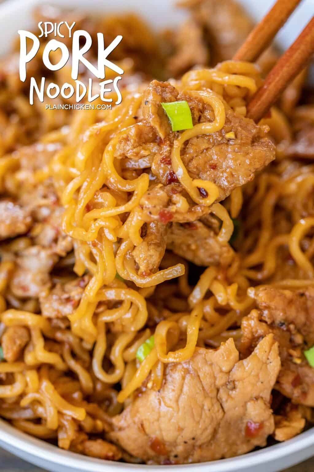 Spicy Pork Noodles - Plain Chicken