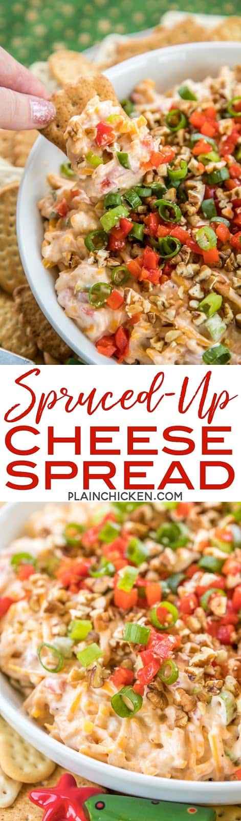 Spruced Up Cheese Spread recipe - CRAZY good!!! People go nuts over this dip!! It is like pimento cheese on steroids - pimento, onion, mayonnaise, mustard, Worcestershire sauce, celery seed, paprika, garlic salt, cheddar cheese and pecans. Serve with crackers and veggies. Can make several days in advance and refrigerate until ready to serve. This is always the first thing to go at parties!! SO good! #pimentocheese #appetizer #diprecipe #cheese