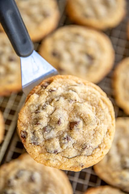 chocolate chip cookie on a spatula