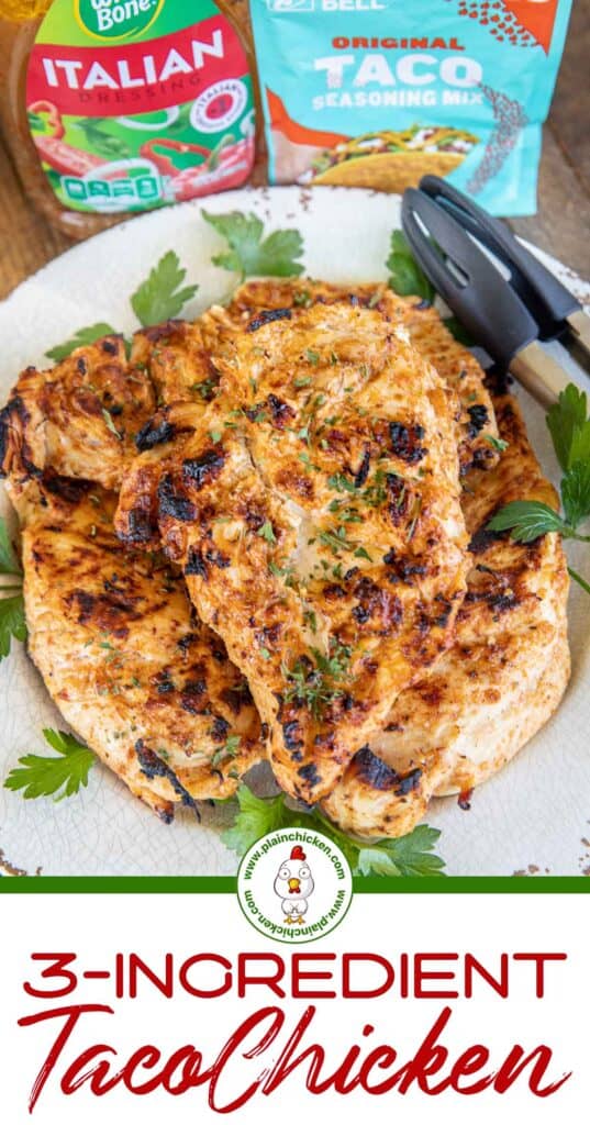 grilled chicken on a plate