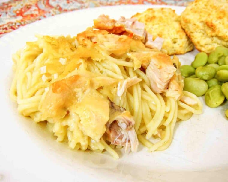 Chicken Tetrazzini Recipe - my Grandmother's recipe! Chicken, vermicelli pasta, cream of chicken and mushroom soup, chicken broth, parmesan cheese. One of my all-time favorite recipes. I can eat way too much of this stuff! Can make ahed and freezer for later. 