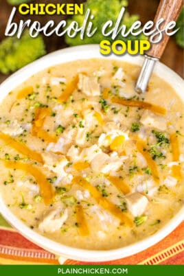 Chicken Broccoli Cheese Soup with Rice - Plain Chicken