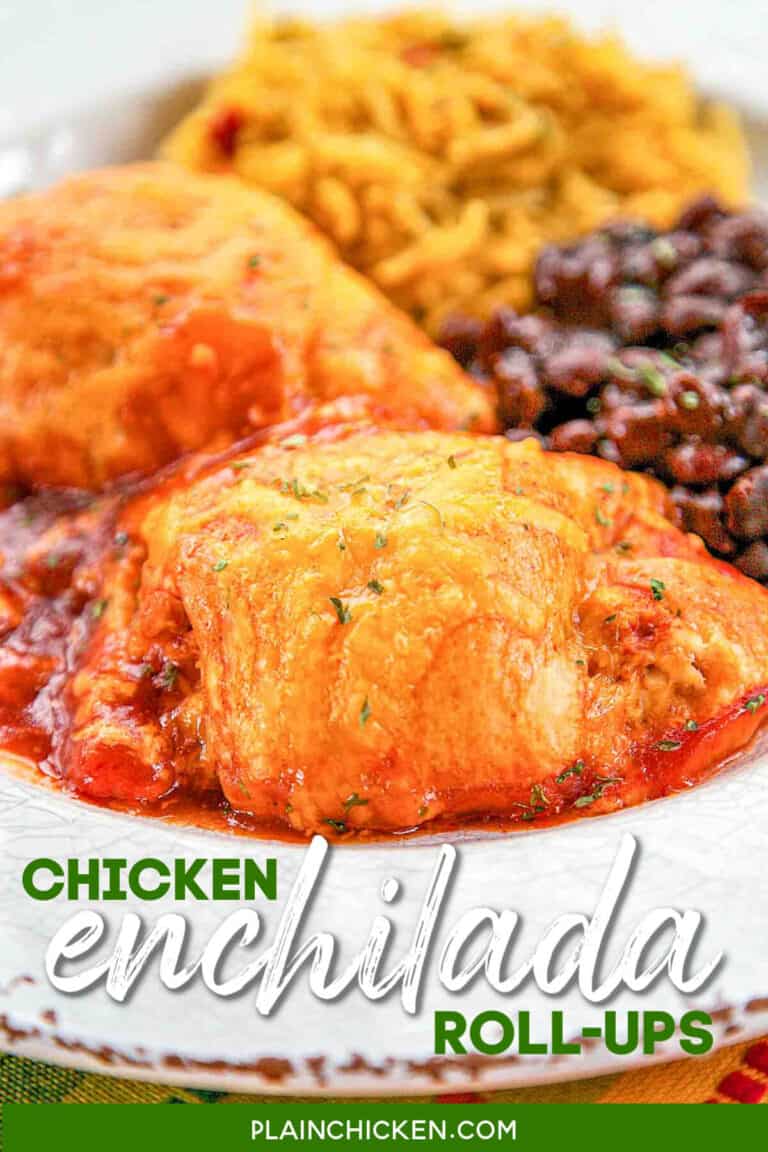 Chicken Enchilada Roll-Ups - Plain Chicken