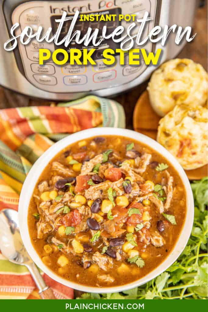 bowl of southwestern pork stew
