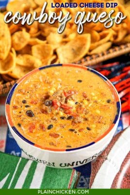 bowl of queso cheese dip