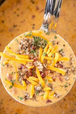 cropped-low-carb-bacon-cheeseburger-soup-1-1.jpg