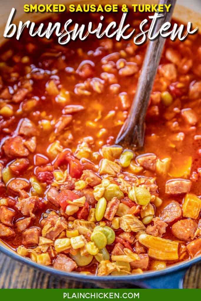 dutch oven of brunswick stew with a spoon in it