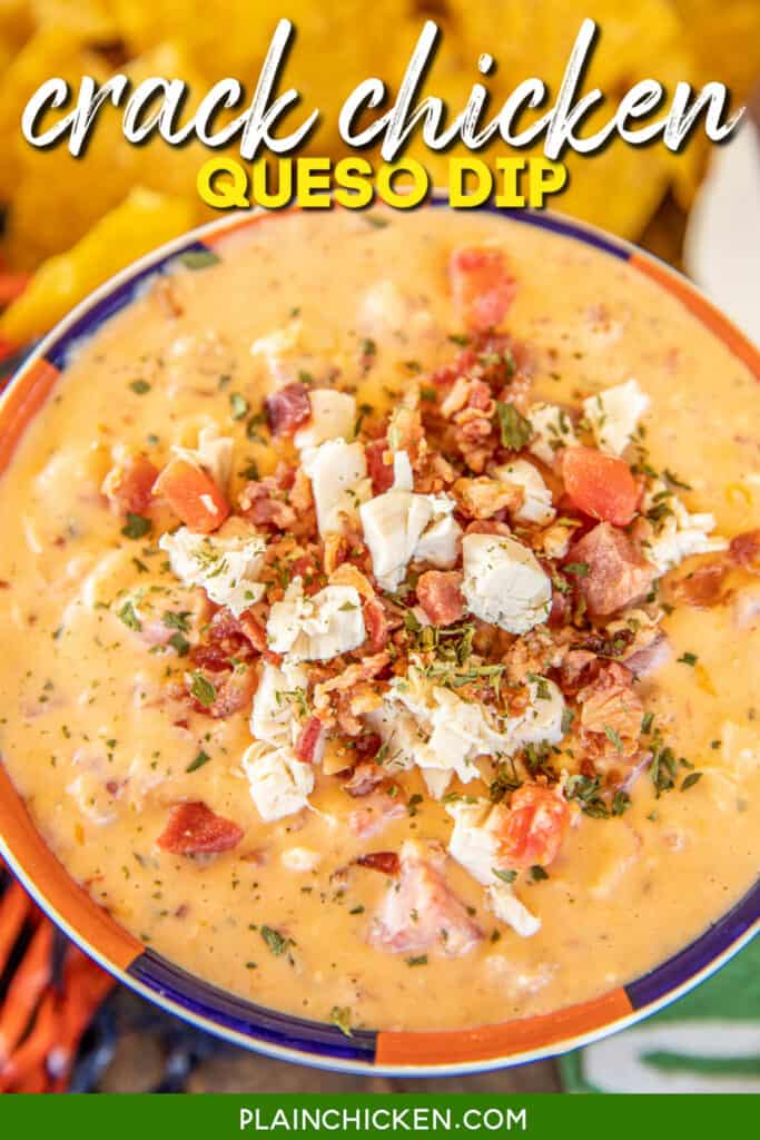 bowl of crack chicken bacon queso dip