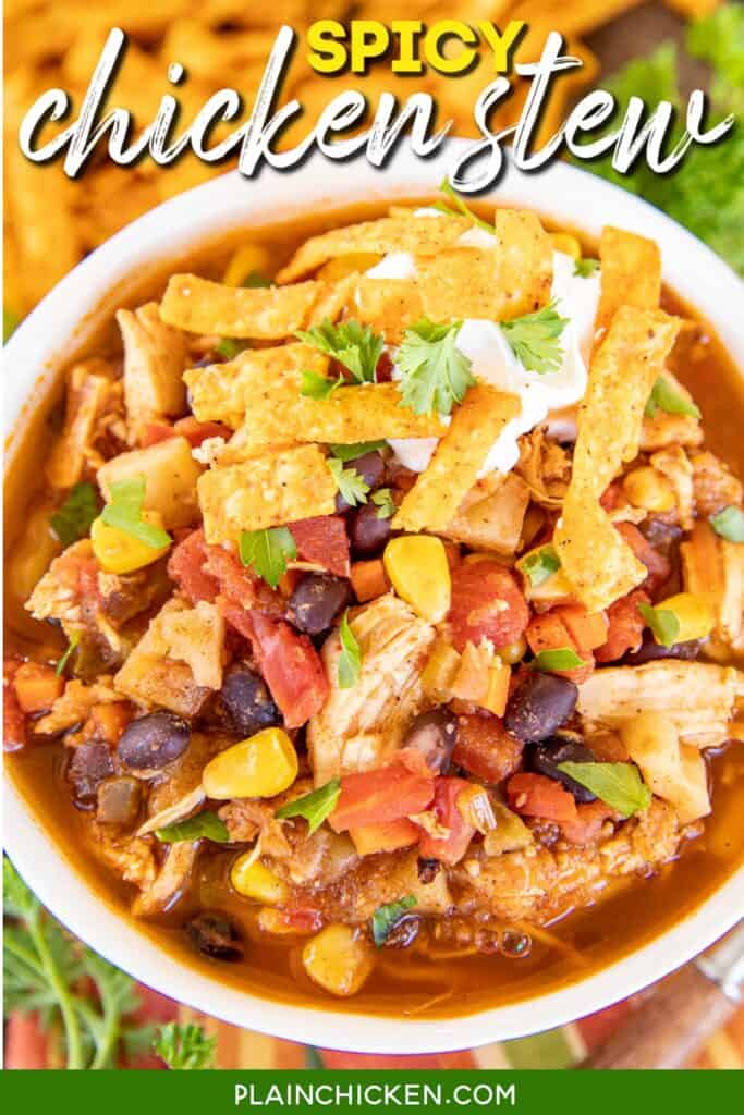 bowl of chicken stew with sour cream and tortilla chips
