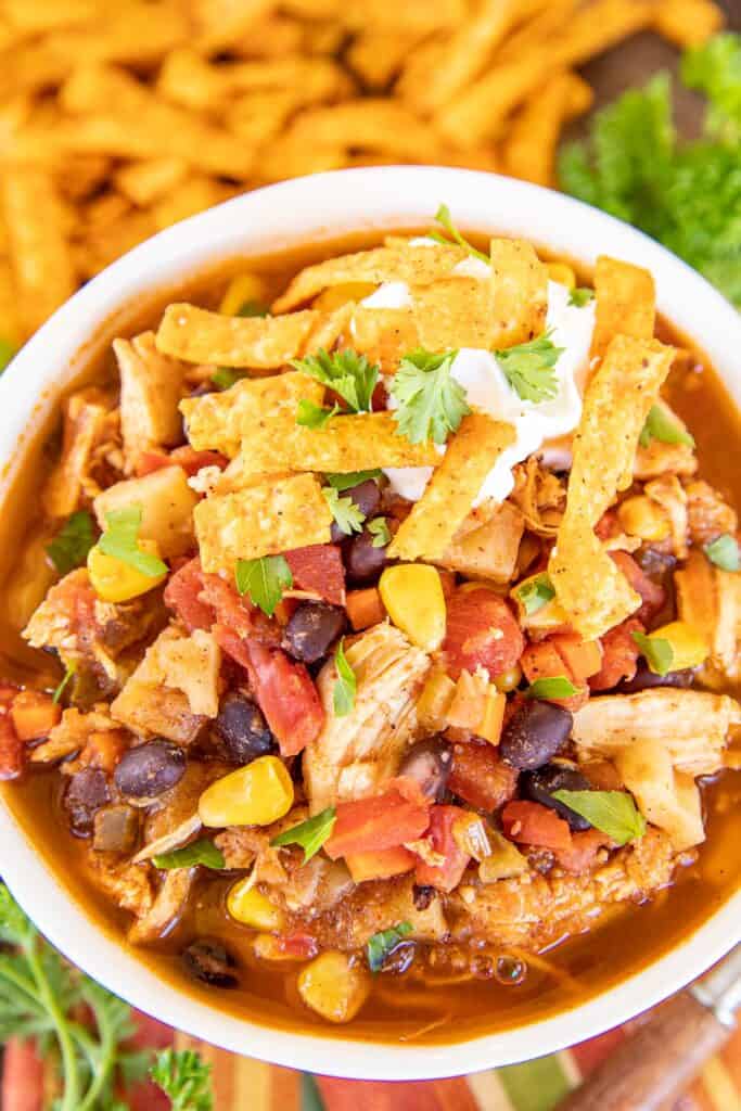 bowl of chicken stew with sour cream and tortilla chips