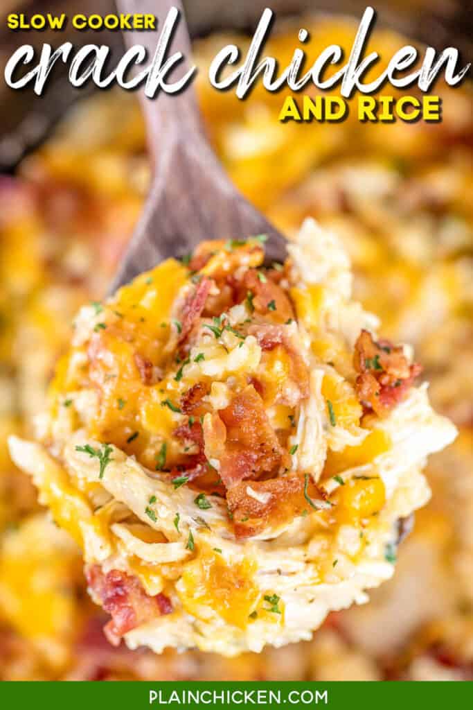 spoonful of cheesy chicken & bacon rice