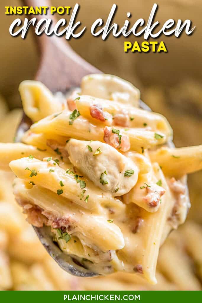 spoonful of chicken bacon pasta