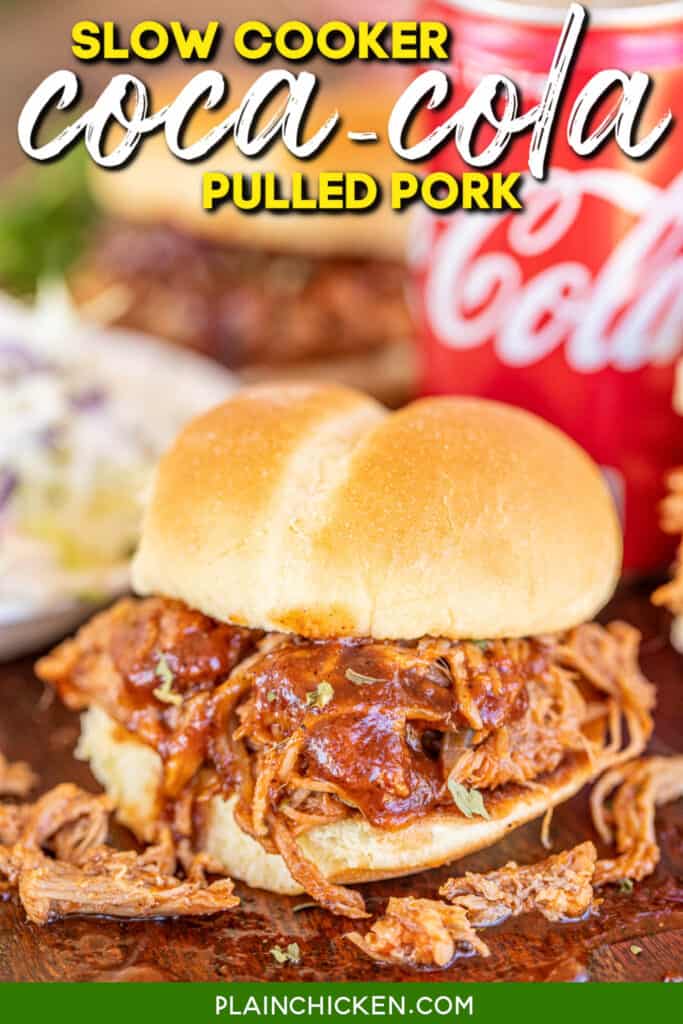 pulled pork on a bun with bbq sauce
