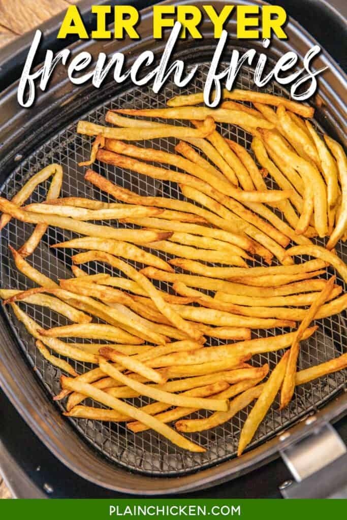air fryer basket of fries