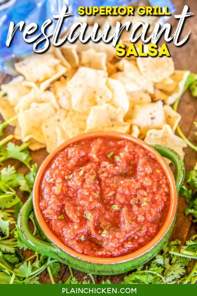bowl of salsa with chips