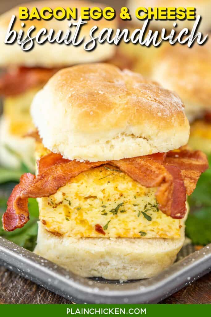 bacon egg & cheese biscuit sandwich
