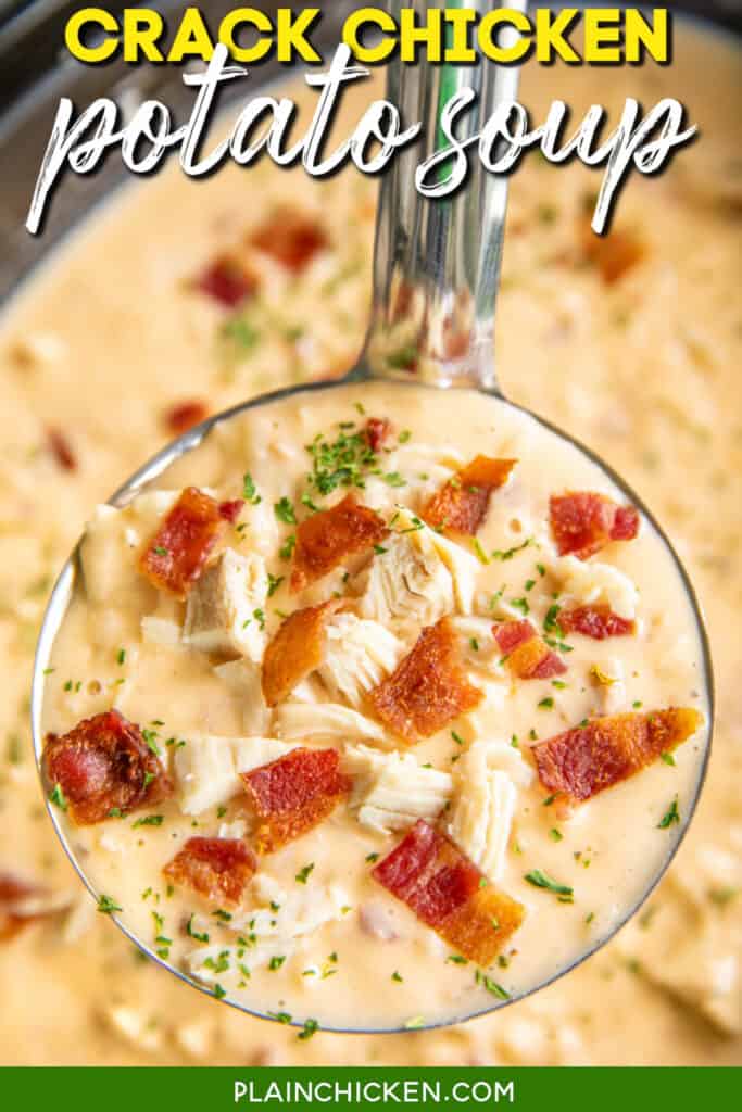 ladle of chicken and bacon potato soup