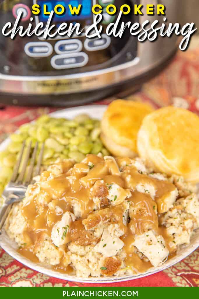 plate of chicken and gravy topped with gravy with slow cooker in the background