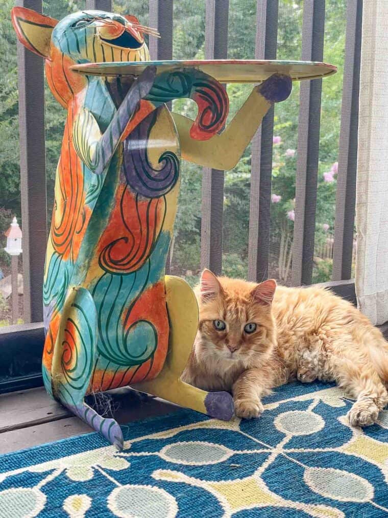 cat laying on the deck next to a cat table