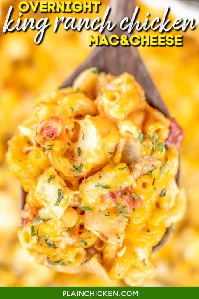 spoonful of cheesy chicken pasta