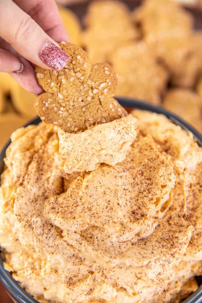 dipping a gingerbread cookie into pumpkin dip
