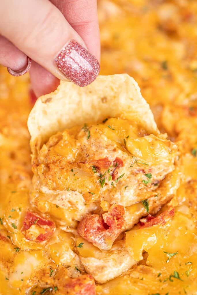 scooping chicken dip with a tortilla chip