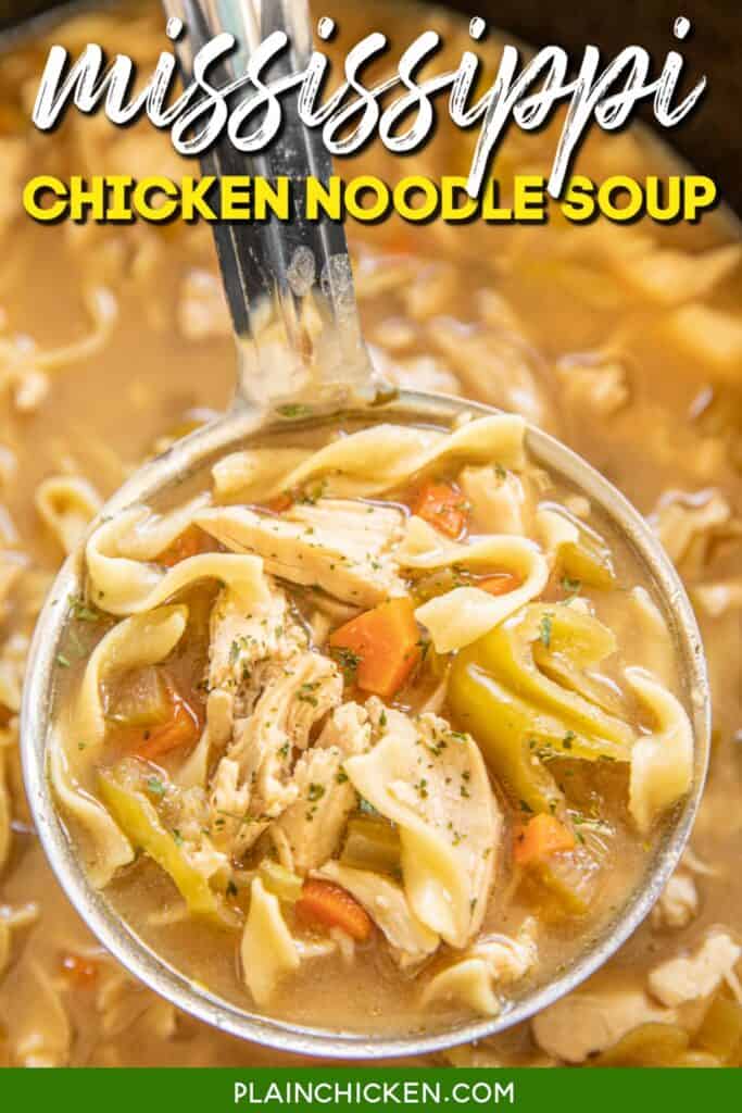 ladle of chicken noodle soup