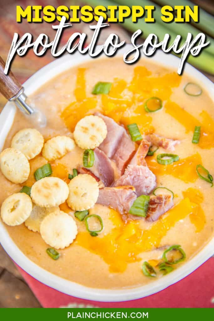 bowl of ham and cheese soup
