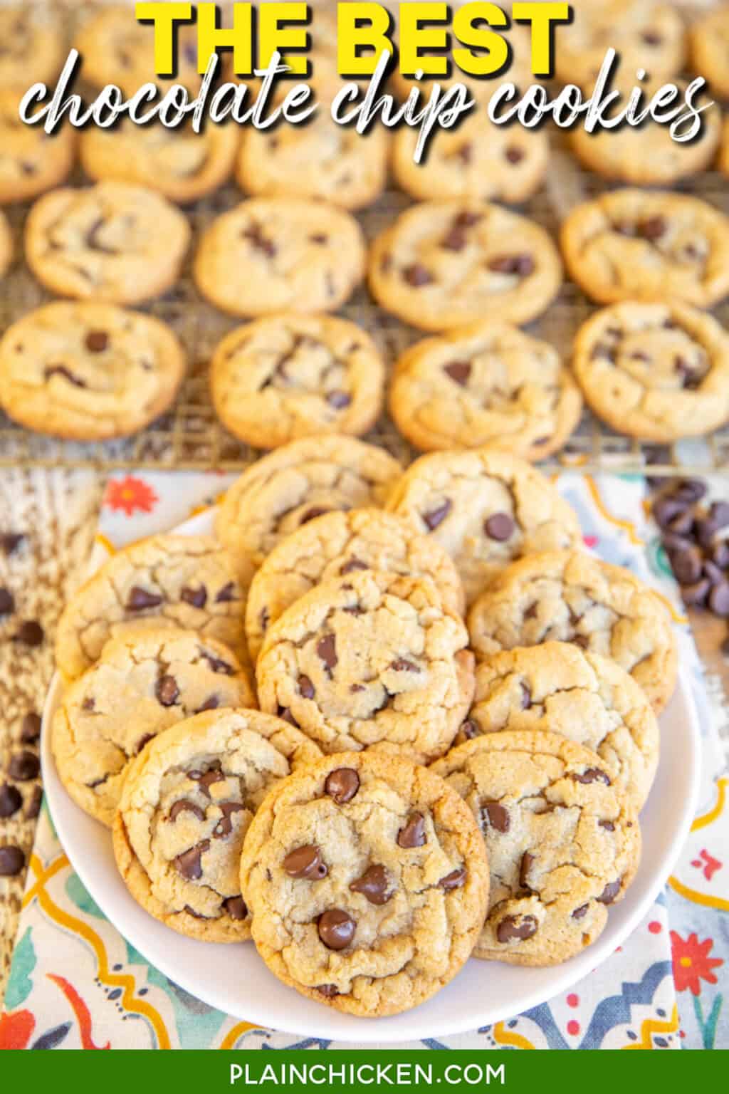 The BEST Chocolate Chip Cookies - Plain Chicken