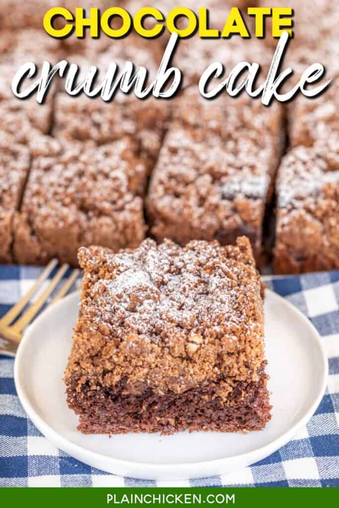 slice of chocolate crumb cake on a plate with text overlay