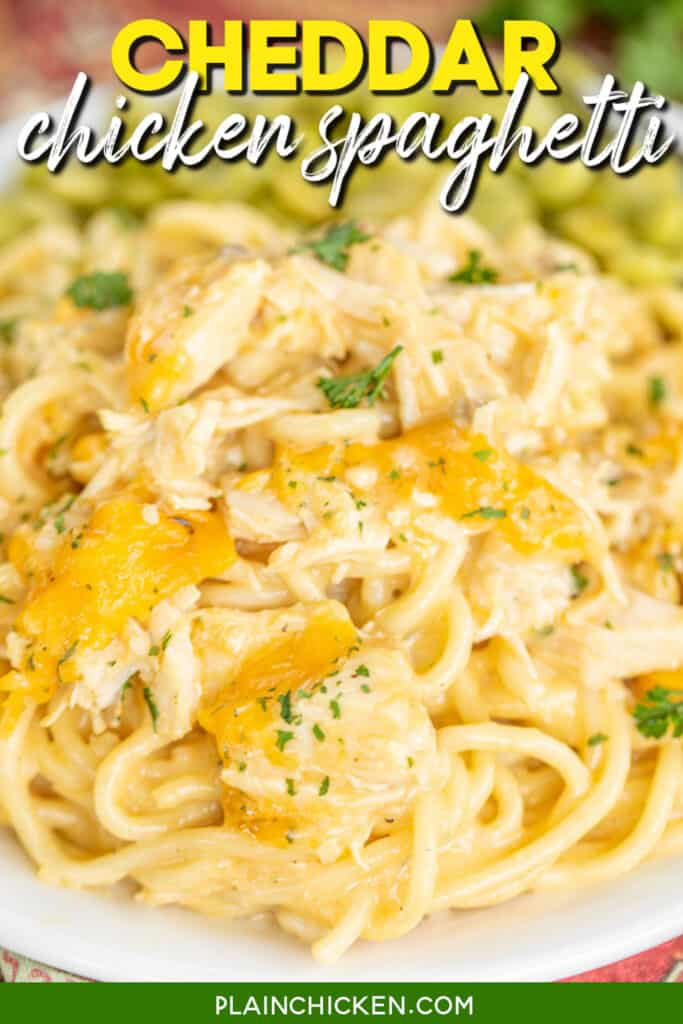 plate of chicken spaghetti with text overlay