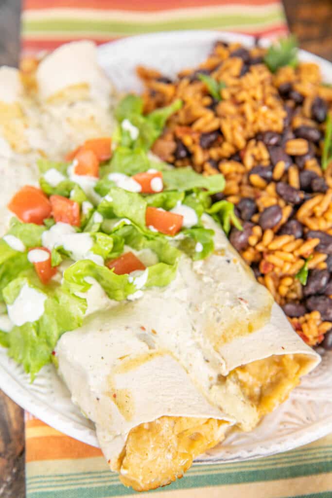plate of chicken enchiladas with beans and rice