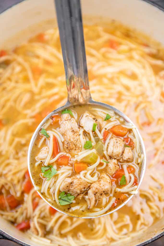 ladle of chicken noodle soup