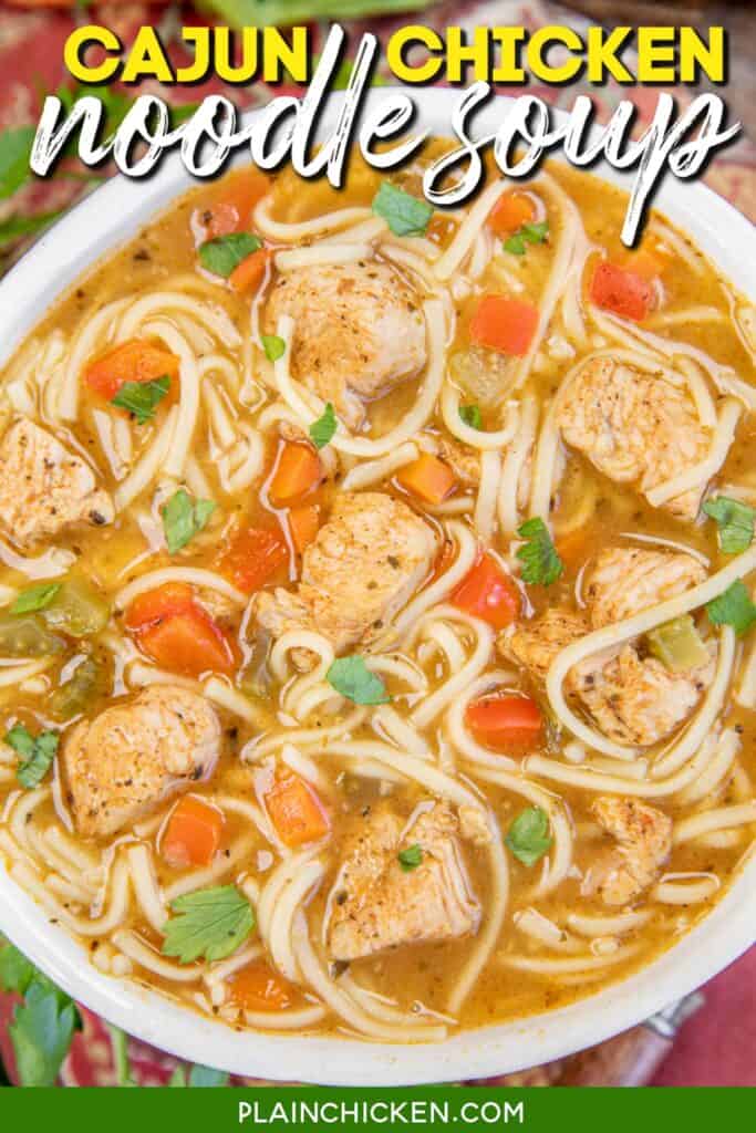 bowl of chicken noodle soup with text overlay