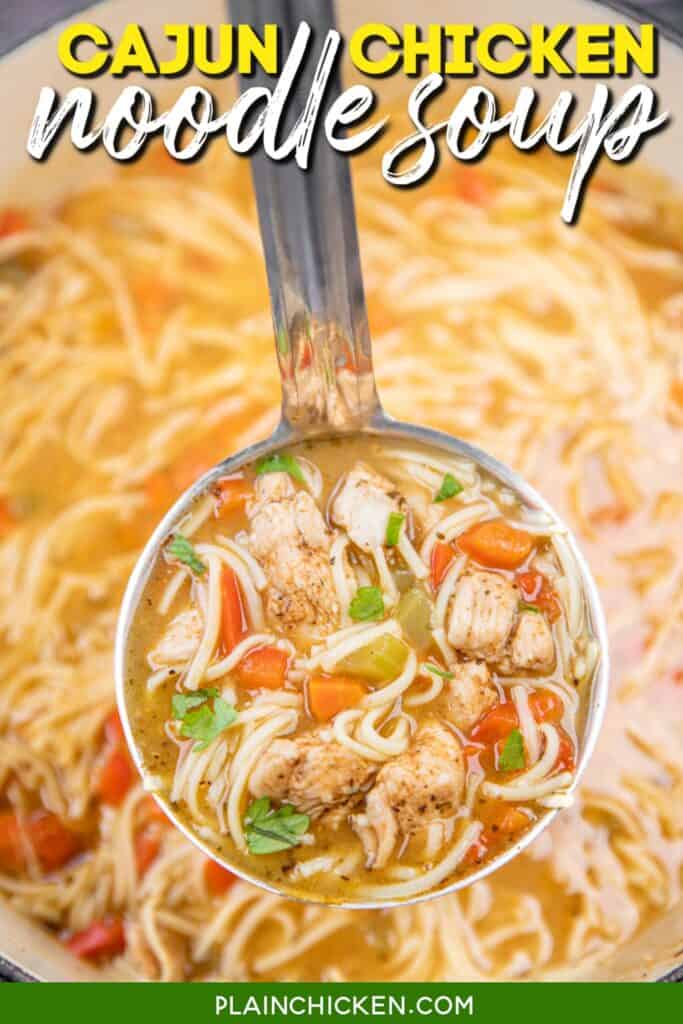 ladle of chicken noodle soup with text overlay